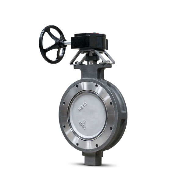 High performance butterfly valve FluoroSeal