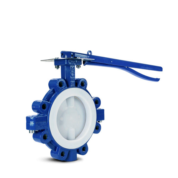 Lined butterfly valve PFA FluoroSeal
